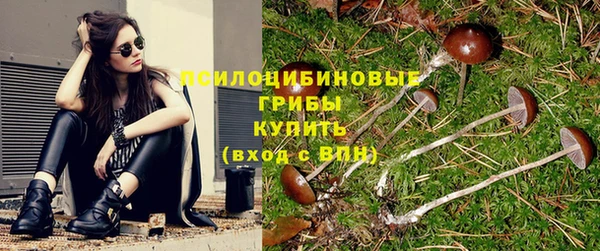 винт Алексеевка